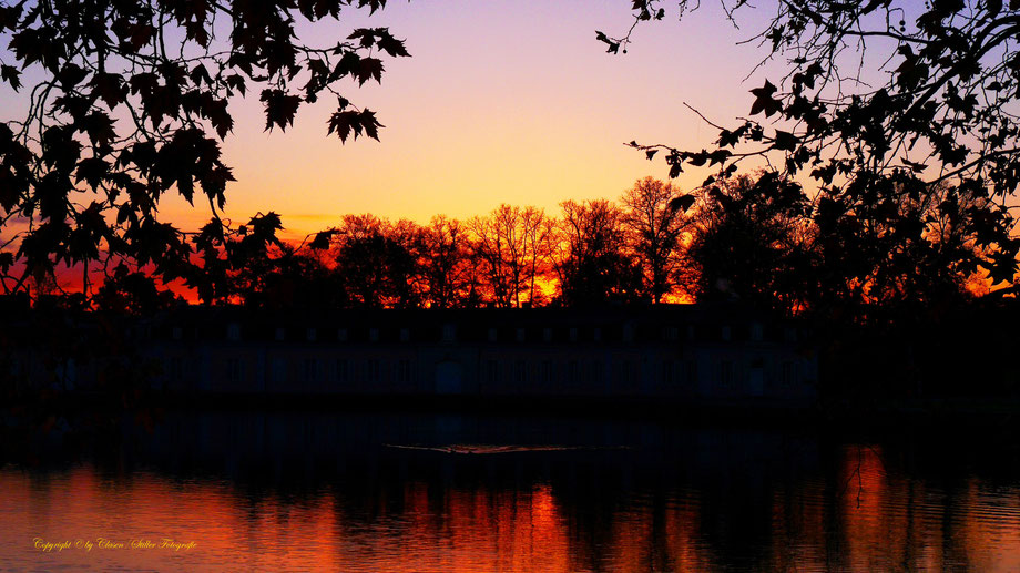 Sonnenaufgang, Kornfeld, Baum, Sonnenstrahlen, Wolken, Schloss Benrath,