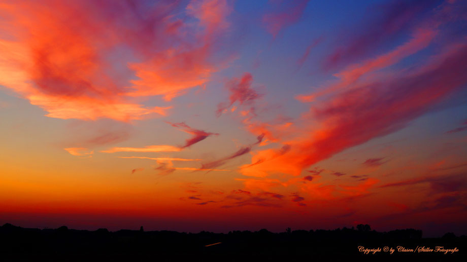 Clasen/Stiller Fotografie, Udo Clasen, Patrick Stiller, Nachtaufnahme, Langzeitbelichtung, Sonnenaufgang, Sonnenuntergang, rot, grün, blau, orange, gold, gelb, Pflanzen, Baum, Bäume, HDR, Düsseldorf, Fernsehturm, Natur, Tiere, Wolken, 