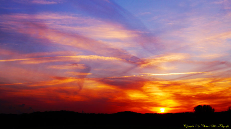 Sonnenaufgang, Kornfeld, Baum, Sonnenstrahlen, Wolken,