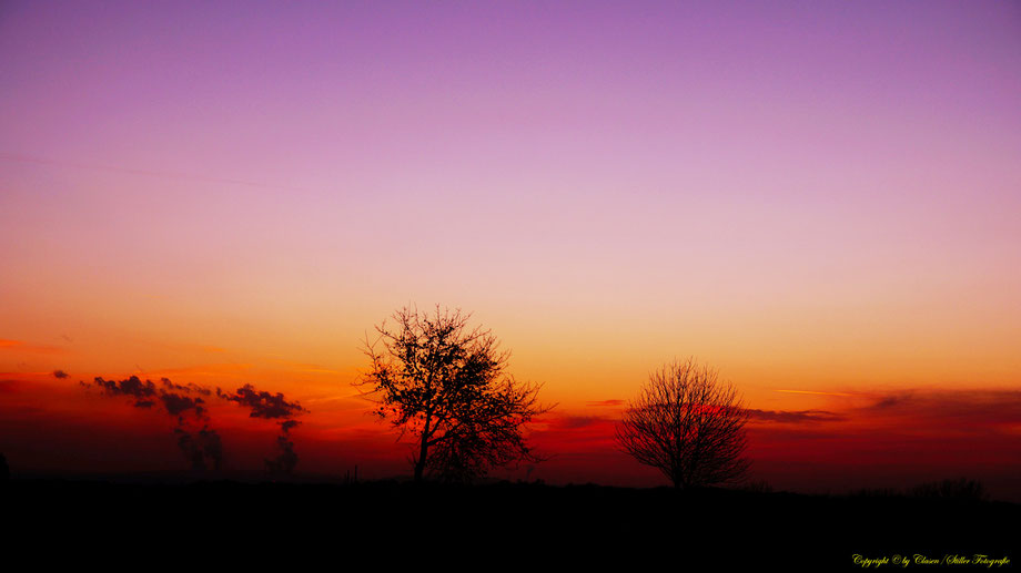 Sonnenaufgang, Kornfeld, Baum, Sonnenstrahlen, Wolken,