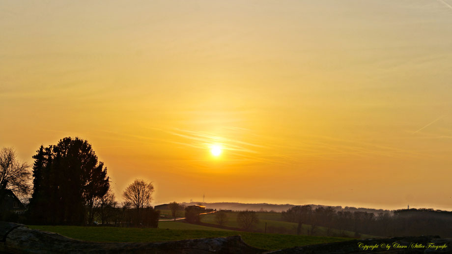 Sonnenaufgang, Kornfeld, Baum, Sonnenstrahlen, Wolken, Morgentau, Wassertropfen,