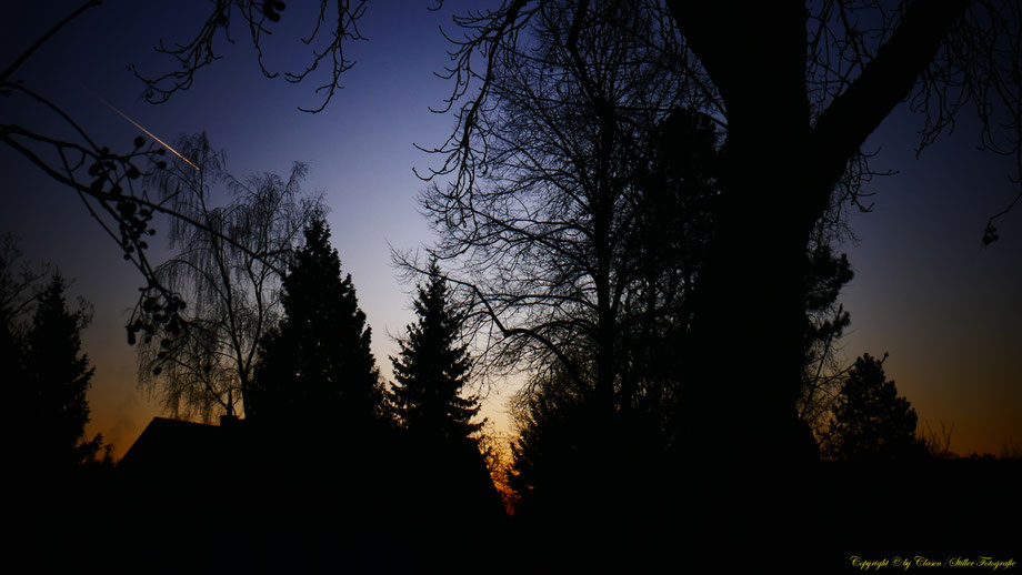 Sonnenaufgang, Kornfeld, Baum, Sonnenstrahlen, Wolken,