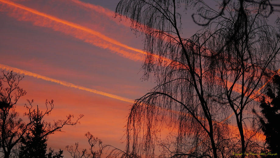 Sonnenaufgang, Kornfeld, Baum, Sonnenstrahlen, Wolken,