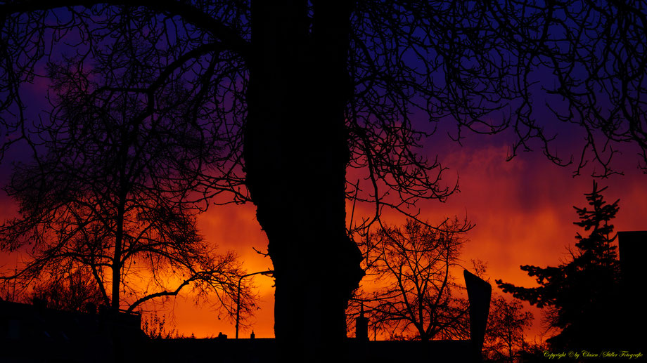 Sonnenaufgang, Kornfeld, Baum, Sonnenstrahlen, Wolken,