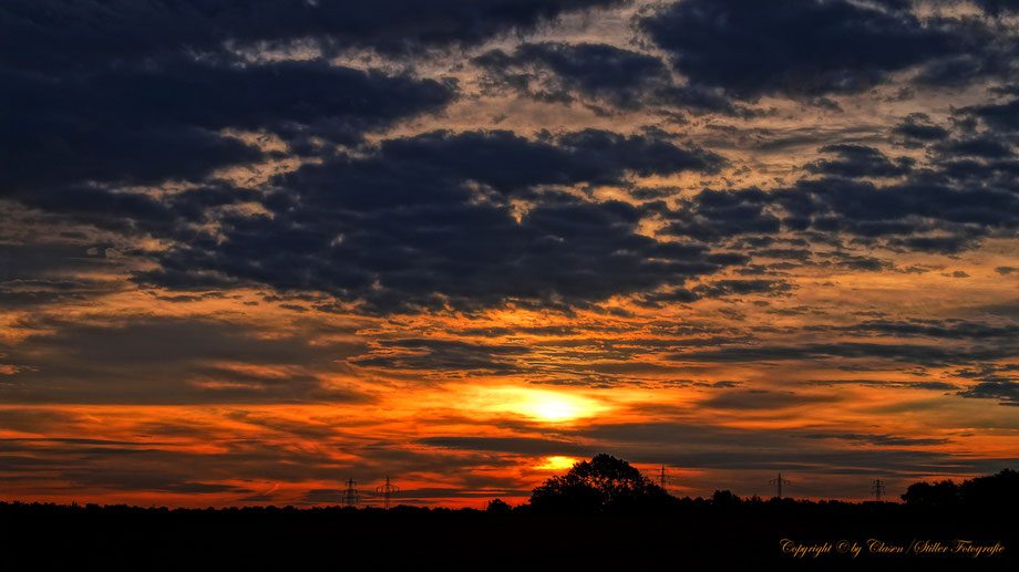 Düsseldorfer Fernsehturm, Vögel, Clasen/Stiller Fotografie, Udo Clasen, Patrick Stiller, Nachtaufnahme, Langzeitbelichtung, Sonnenaufgang, Sonnenuntergang, rot, grün, blau, orange, gold, gelb, Pflanzen, Baum, Bäume, HDR, Düsseldorf, Duisburg, Natur, Tiere