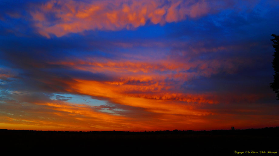 Sonnenaufgang, Kornfeld, Baum, Sonnenstrahlen, Wolken,