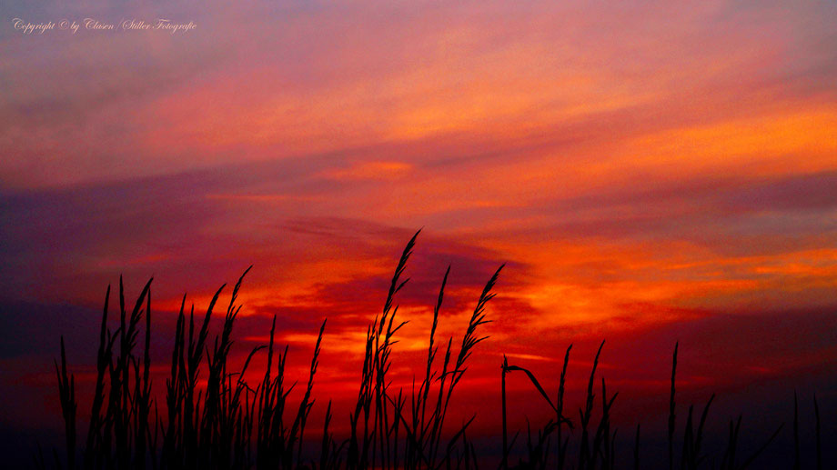  Clasen/Stiller Fotografie, Udo Clasen, Patrick Stiller, Nachtaufnahme, Abstrakte Fotos, Langzeitbelichtung, Sonnenaufgang, rot, grün, blau, orange, gold, abstrakte lichter, HDR, Düsseldorf, Duisburg, abstraktes, Kunst, Fotokunst, farbenspiel, Natur,