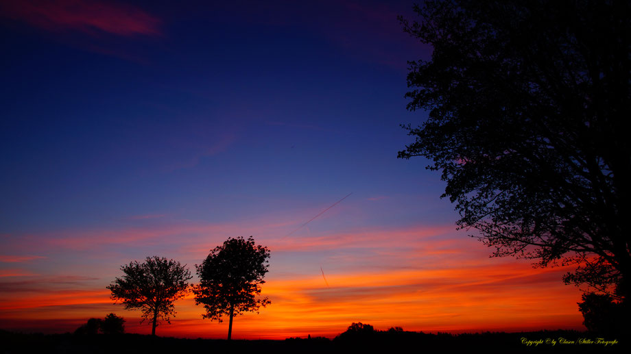 Sonnenaufgang, Kornfeld, Baum, Sonnenstrahlen, Wolken,