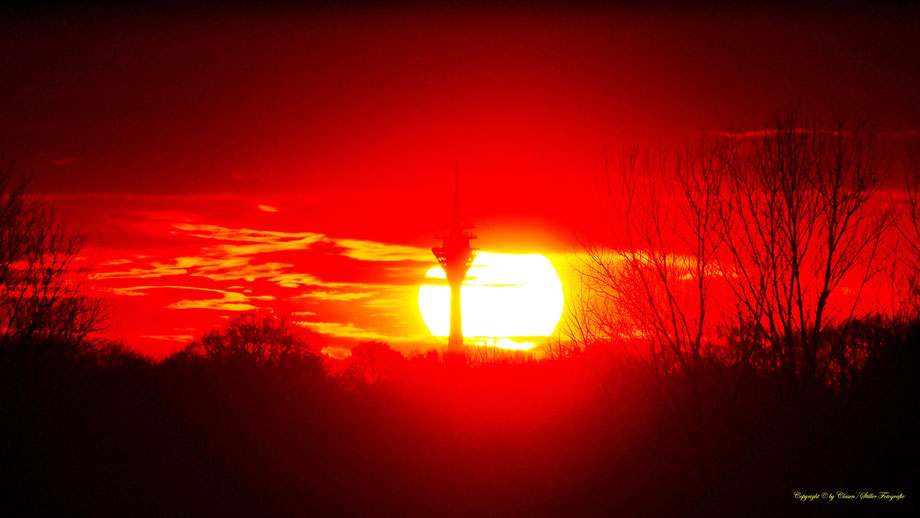 Clasen/Stiller Fotografie, Udo Clasen, Patrick Stiller, Nachtaufnahme, Langzeitbelichtung, Sonnenaufgang, Sonnenuntergang, rot, grün, blau, orange, gold, gelb, Pflanzen, Baum, Bäume, HDR, Düsseldorf, Duisburg, Natur, Tiere, Wolken, Wassertropfen, Vögel,