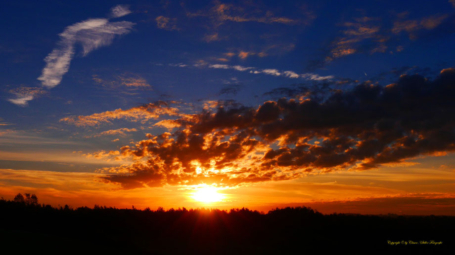 Sonnenaufgang, Kornfeld, Baum, Sonnenstrahlen, Wolken,