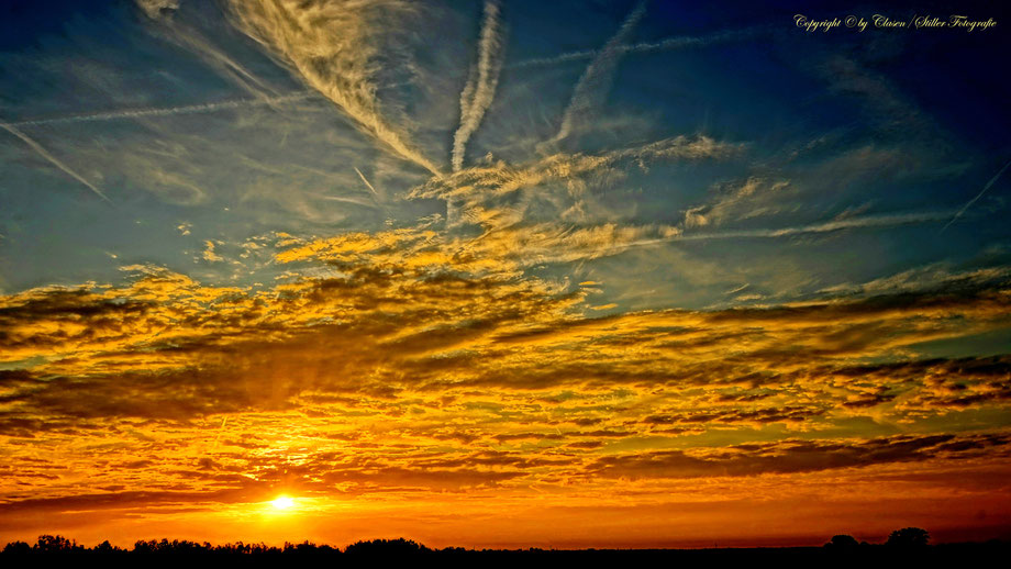 Düsseldorfer Fernsehturm, Vögel, Clasen/Stiller Fotografie, Udo Clasen, Patrick Stiller, Nachtaufnahme, Langzeitbelichtung, Sonnenaufgang, Sonnenuntergang, rot, grün, blau, orange, gold, gelb, Pflanzen, Baum, Bäume, HDR, Düsseldorf, Duisburg, Natur, Tiere