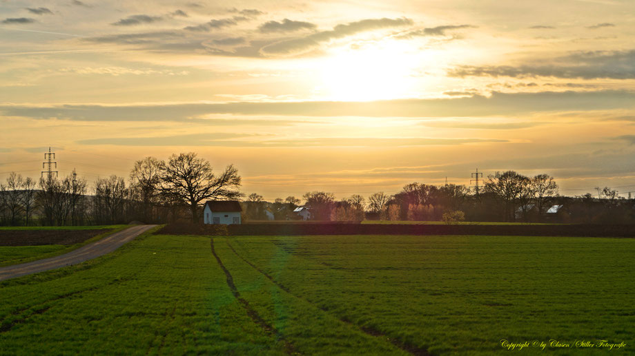 Sonnenaufgang, Kornfeld, Baum, Sonnenstrahlen, Wolken, Morgentau, Wassertropfen,