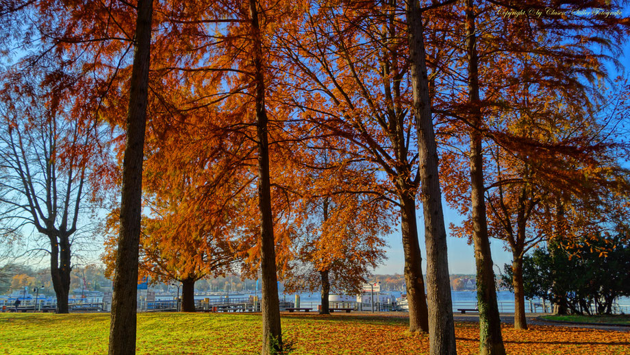  Clasen/Stiller Fotografie, Udo Clasen, Patrick Stiller, Nachtaufnahme, Abstrakte Fotos, Langzeitbelichtung, Sonnenaufgang, grün, blau, orange, gold, HDR, Düsseldorf Fernsehturm, Duisburg, abstraktes, Kunst, Fotokunst, farbenspiel, Wolken, Berlin Wannsee,