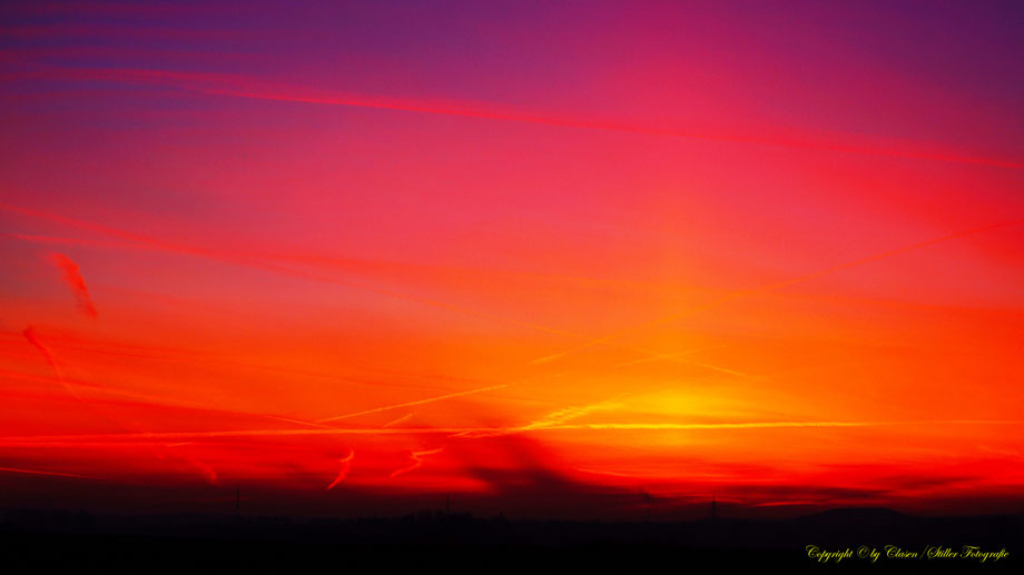 Sonnenaufgang, Kornfeld, Baum, Sonnenstrahlen, Wolken, Morgentau, Wassertropfen,