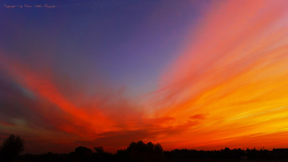 Clasen/Stiller Fotografie, Udo Clasen, Patrick Stiller, Nachtaufnahme, Langzeitbelichtung, Sonnenaufgang, Sonnenuntergang, rot, grün, blau, orange, gold, gelb, Pflanzen, Baum, Bäume, HDR, Düsseldorf, Fernsehturm, Natur, Tiere, Wolken, 