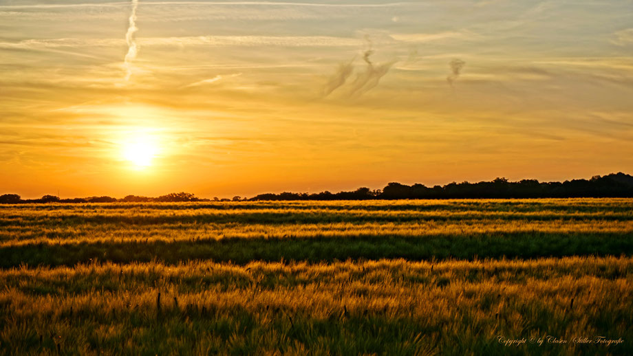  Clasen/Stiller Fotografie, Udo Clasen, Patrick Stiller, Nachtaufnahme, Kornfeld, Langzeitbelichtung, Sonnenaufgang, rot, grün, blau, orange, gold, abstrakte lichter, HDR, Düsseldorf, Duisburg, abstraktes, Kunst, Fotokunst, farbenspiel, Natur,