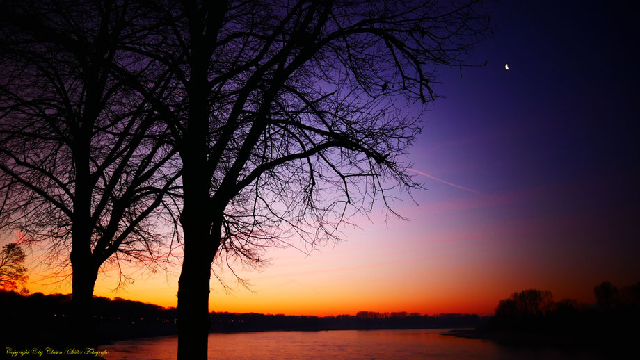 Sonnenaufgang, Kornfeld, Baum, Sonnenstrahlen, Wolken, Rhein,