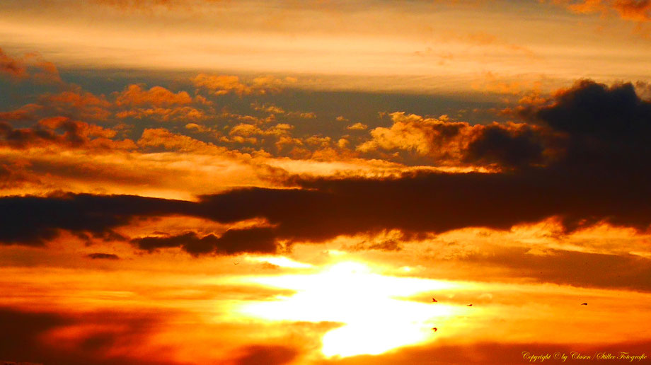 Sonnenaufgang, Kornfeld, Baum, Sonnenstrahlen, Wolken,