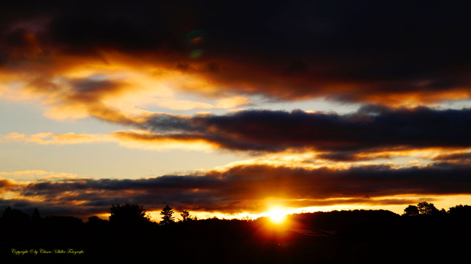 Sonnenaufgang, Kornfeld, Baum, Sonnenstrahlen, Wolken,