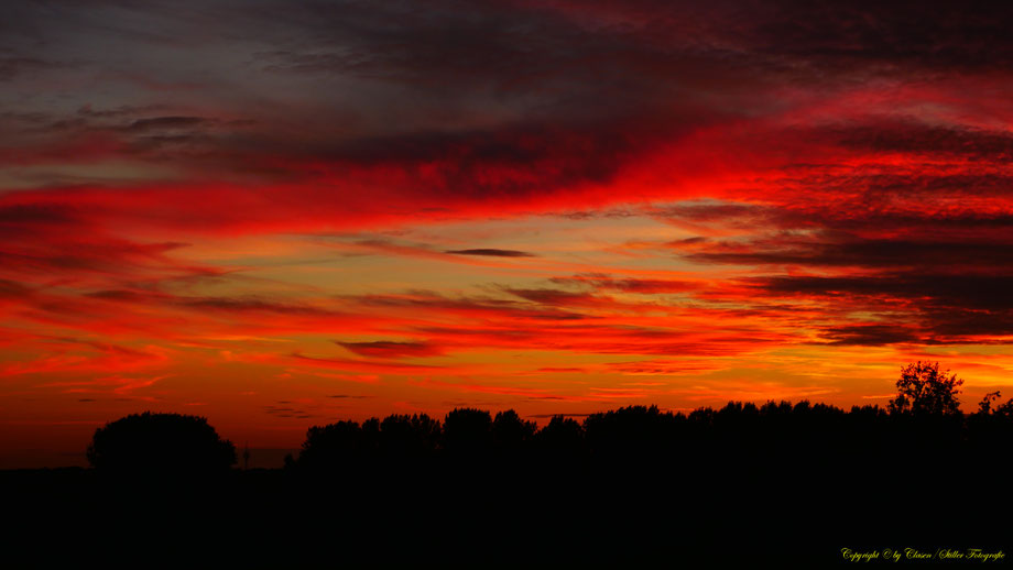 Sonnenaufgang, Kornfeld, Baum, Sonnenstrahlen, Wolken,