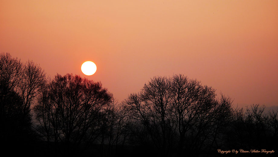 Duisburg Innenhafen, Clasen/Stiller Fotografie, Udo Clasen, Patrick Stiller, Nachtaufnahme, Langzeitbelichtung, Sonnenaufgang, Sonnenuntergang, rot, grün, blau, orange, gold, gelb, Pflanzen, Baum, Bäume, HDR, Düsseldorf, Duisburg, Natur, Tiere, Wolken, 