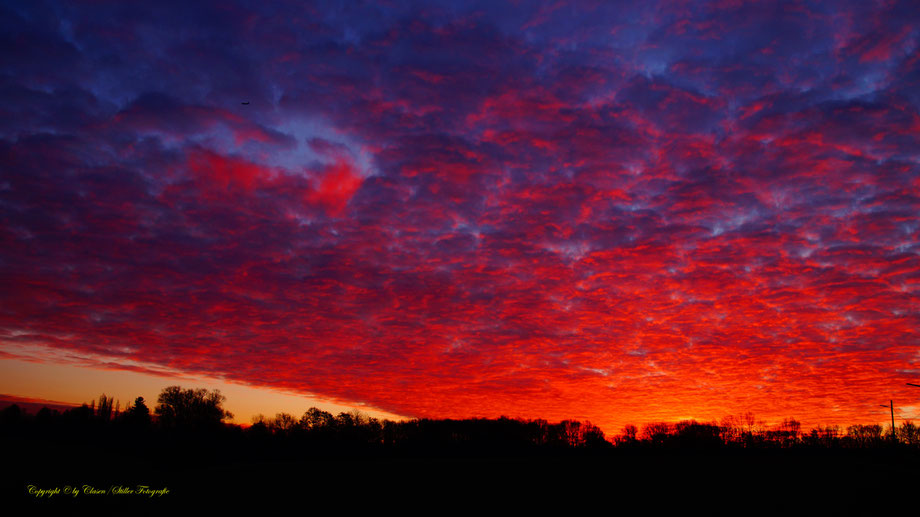 Sonnenaufgang, Kornfeld, Baum, Sonnenstrahlen, Wolken,