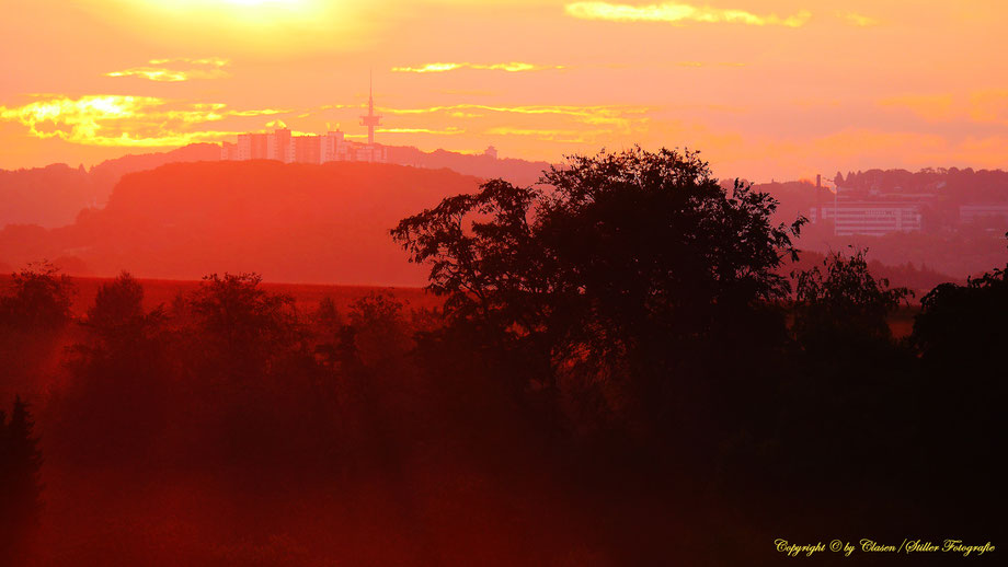 rot durchleuchtet Sonnenaufgang, Vögel, Clasen/Stiller Fotografie, Udo Clasen, Patrick Stiller, Nachtaufnahme, Langzeitbelichtung, Sonnenaufgang, Sonnenuntergang, rot, grün, blau, orange, gold, gelb, Pflanzen, Baum, Bäume, HDR, Düsseldorf, Duisburg, Natur