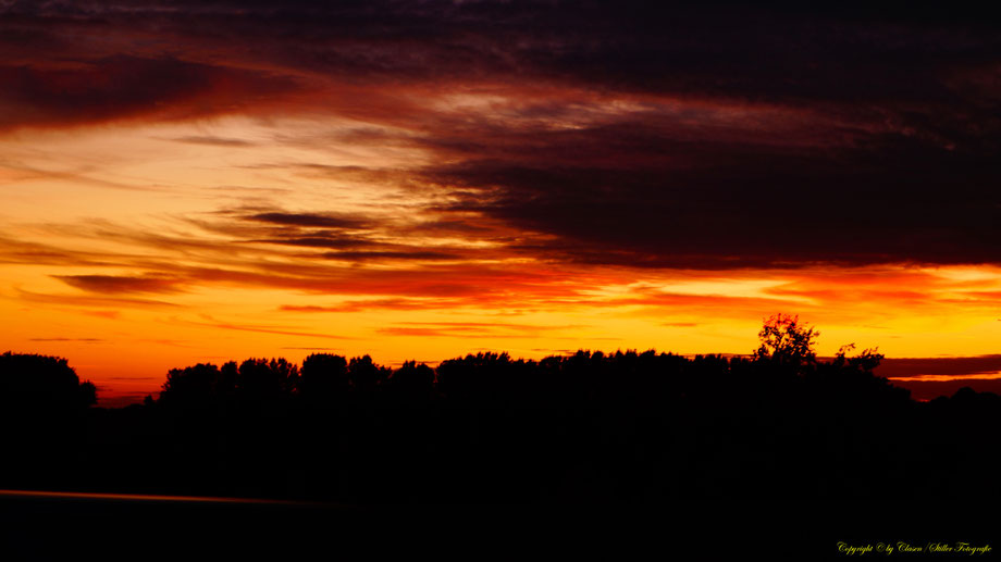 Sonnenaufgang, Kornfeld, Baum, Sonnenstrahlen, Wolken,