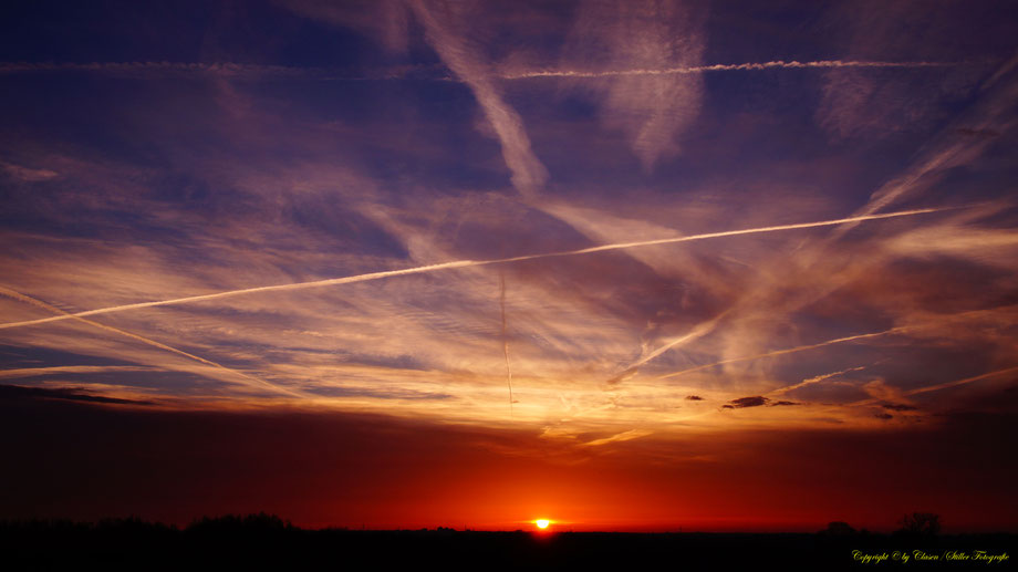 Sonnenaufgang, Kornfeld, Baum, Sonnenstrahlen, Wolken,