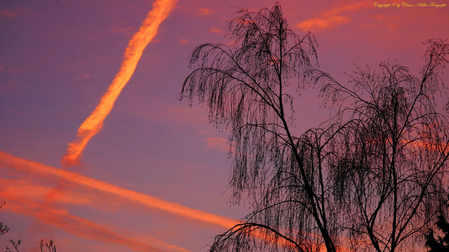 Sonnenaufgang, Kornfeld, Baum, Sonnenstrahlen, Wolken,