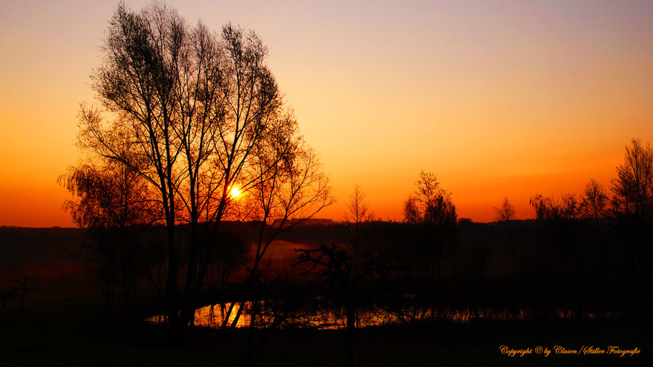 Clasen/Stiller Fotografie, Udo Clasen, Patrick Stiller, Nachtaufnahme, Langzeitbelichtung, Sonnenaufgang, Sonnenuntergang, rot, grün, blau, orange, gold, gelb, Pflanzen, Baum, Bäume, HDR, Düsseldorf, Fernsehturm, Natur, Tiere, Wolken, 