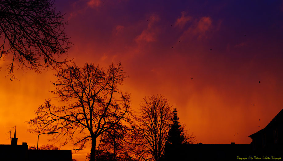 Sonnenaufgang, Kornfeld, Baum, Sonnenstrahlen, Wolken,