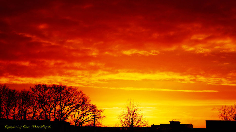 Clasen/Stiller Fotografie, Udo Clasen, Patrick Stiller, Nachtaufnahme, Langzeitbelichtung, Sonnenaufgang, Sonnenuntergang, rot, grün, blau, orange, gold, gelb, Pflanzen, Baum, Bäume, HDR, Düsseldorf, Duisburg, Natur, Tiere, Wolken, Wassertropfen, Vögel,