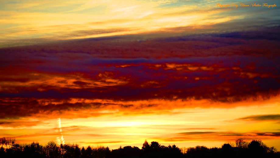 Sonnenaufgang, Kornfeld, Baum, Sonnenstrahlen, Wolken, Morgendämmerung, Verkauf,