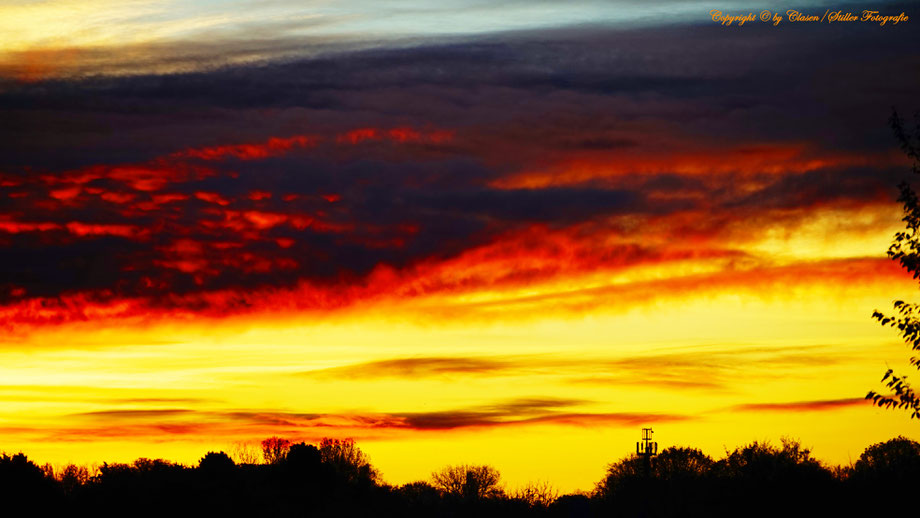 Hilden, Clasen/Stiller Fotografie, Udo Clasen, Patrick Stiller, Nachtaufnahme, Langzeitbelichtung, Sonnenaufgang, Sonnenuntergang, rot, grün, blau, orange, gold, gelb, Pflanzen, Baum, Bäume, HDR, Düsseldorf, Duisburg, Natur, Tiere, Wolken, 