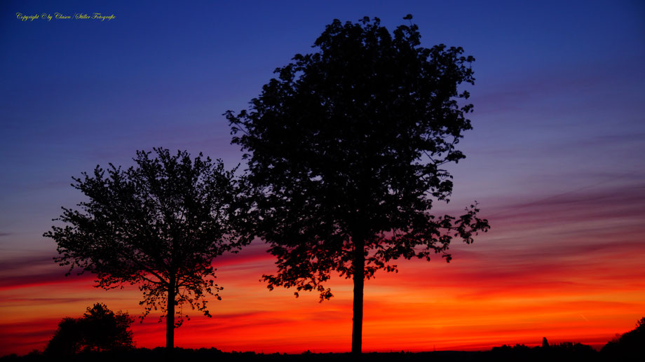  Clasen/Stiller Fotografie, Udo Clasen, Patrick Stiller, Nachtaufnahme, Abstrakte Fotos, Langzeitbelichtung, Sonnenaufgang, rot, grün, blau, orange, gold, abstrakte lichter, HDR, Düsseldorf, Duisburg, abstraktes, Kunst, Fotokunst, farbenspiel, Natur,