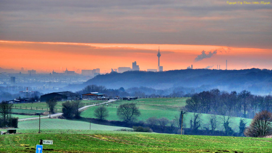 Sonnenaufgang, Kornfeld, Baum, Sonnenstrahlen, Wolken,