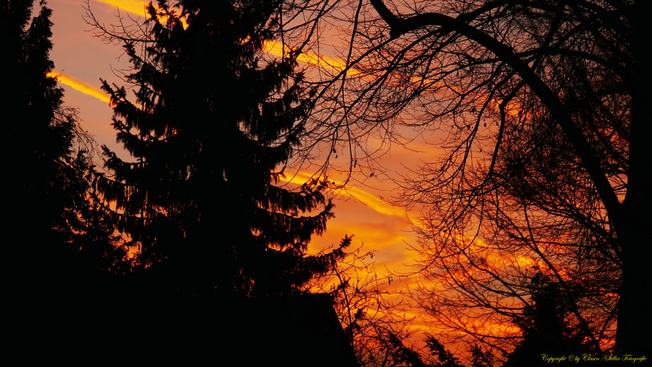 Sonnenaufgang, Kornfeld, Baum, Sonnenstrahlen, Wolken,