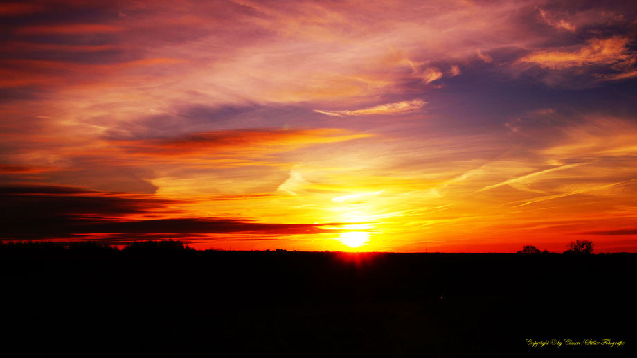 Clasen/Stiller Fotografie, Udo Clasen, Patrick Stiller, Nachtaufnahme, Langzeitbelichtung, Sonnenaufgang, Sonnenuntergang, rot, grün, blau, orange, gold, gelb, Pflanzen, Baum, Bäume, HDR, Düsseldorf, Duisburg, Natur, Tiere, Wolken, Wassertropfen, Vögel,