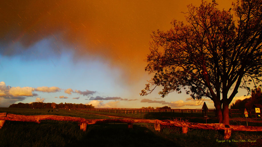 Sonnenaufgang, Kornfeld, Baum, Sonnenstrahlen, Wolken, Regenbogen,