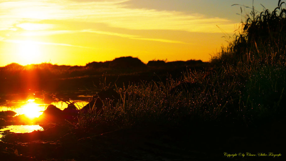 Sonne, See, Wassertropfen