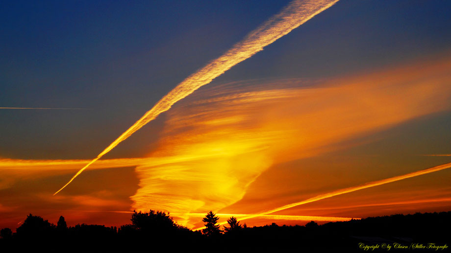 Sonnenaufgang, Kornfeld, Baum, Sonnenstrahlen, Wolken,