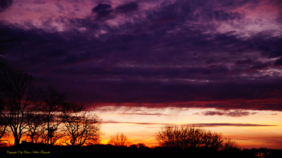 Clasen/Stiller Fotografie, Udo Clasen, Patrick Stiller, Nachtaufnahme, Langzeitbelichtung, Sonnenaufgang, Sonnenuntergang, rot, grün, blau, orange, gold, gelb, Pflanzen, Baum, Bäume, HDR, Düsseldorf, Duisburg, Natur, Tiere, Wolken, Wassertropfen, Vögel,