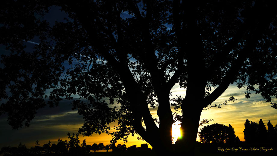  Clasen/Stiller Fotografie, Udo Clasen, Patrick Stiller, Nachtaufnahme, Abstrakte Fotos, Langzeitbelichtung, Sonnenaufgang, rot, grün, blau, orange, gold, abstrakte lichter, HDR, Düsseldorf, Duisburg, abstraktes, Kunst, Fotokunst, farbenspiel, Natur,