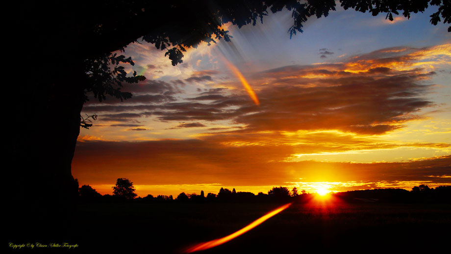 Sonnenaufgang, Kornfeld, Baum, Sonnenstrahlen, Wolken,