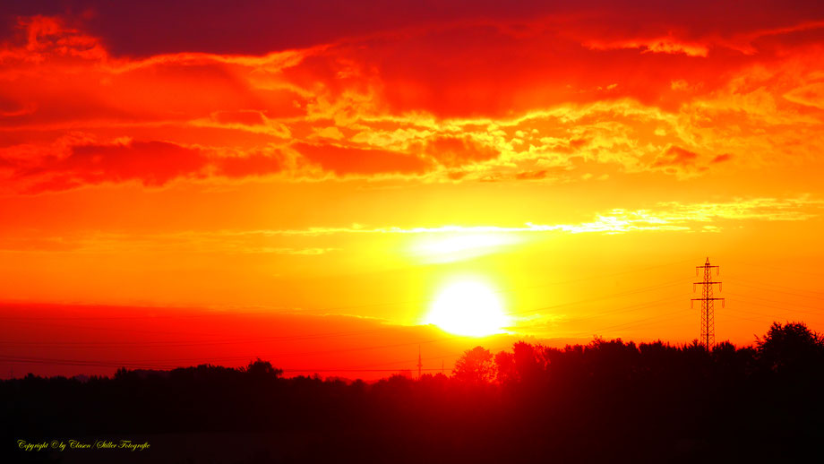 Düsseldorfer Fernsehturm, Vögel, Clasen/Stiller Fotografie, Udo Clasen, Patrick Stiller, Nachtaufnahme, Langzeitbelichtung, Sonnenaufgang, Sonnenuntergang, rot, grün, blau, orange, gold, gelb, Pflanzen, Baum, Bäume, HDR, Düsseldorf, Duisburg, Natur, Tiere