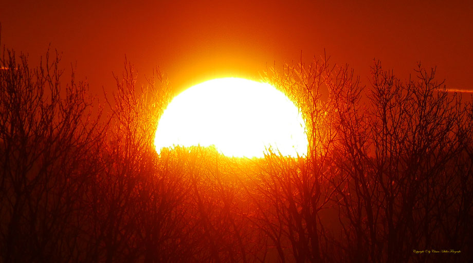 Clasen/Stiller Fotografie, Udo Clasen, Patrick Stiller, Nachtaufnahme, Langzeitbelichtung, Sonnenaufgang, Sonnenuntergang, rot, grün, blau, orange, gold, gelb, Pflanzen, Baum, Bäume, HDR, Düsseldorf, Duisburg, Natur, Tiere, Wolken, Wassertropfen, Vögel,