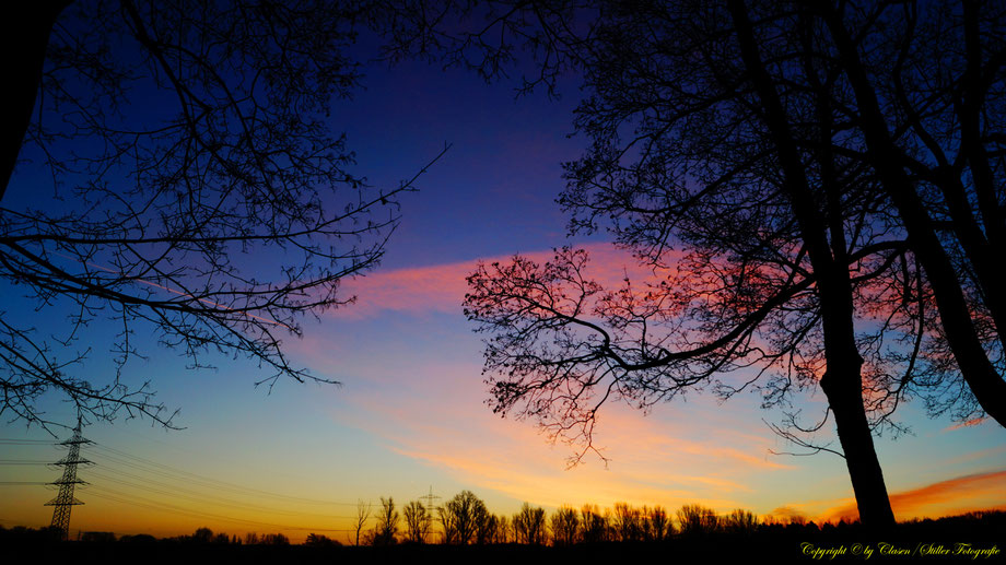 Sonnenaufgang, Kornfeld, Baum, Sonnenstrahlen, Wolken,