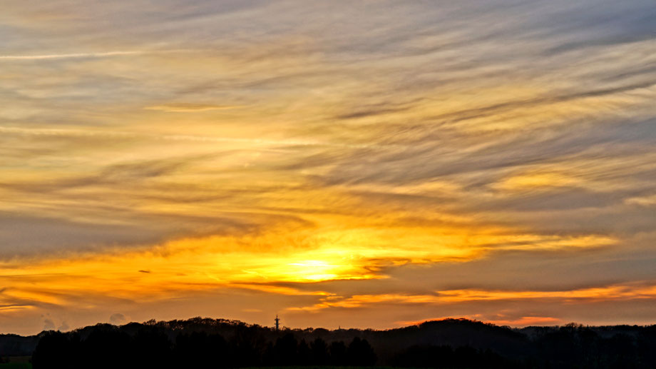 Sonnenaufgang, Kornfeld, Baum, Sonnenstrahlen, Wolken,