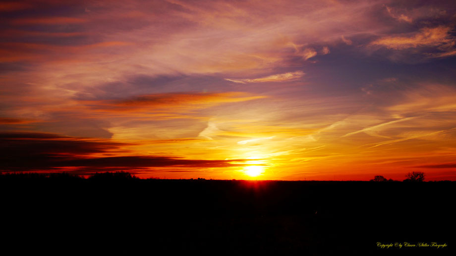 Sonnenaufgang, Kornfeld, Baum, Sonnenstrahlen, Wolken,